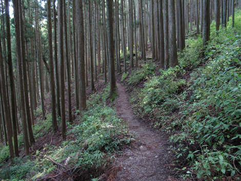 20151116hike (328)